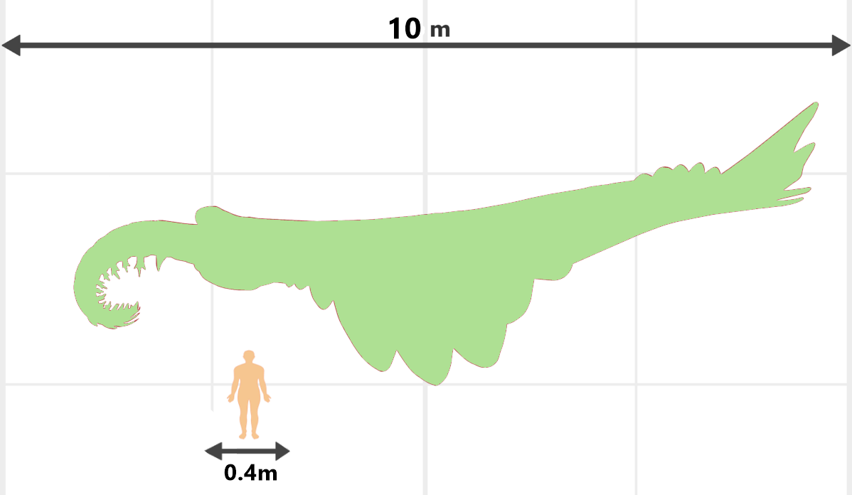 sizecompfinal2.png